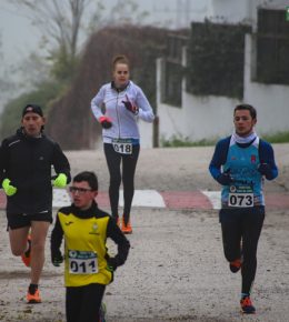 cross del arbol (10)