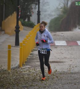 cross del arbol (11)