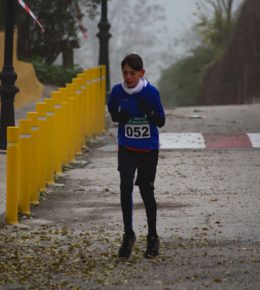 cross del arbol (12)