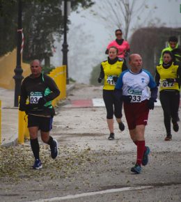 cross del arbol (14)