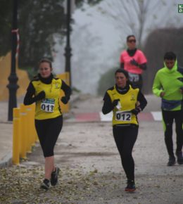 cross del arbol (15)