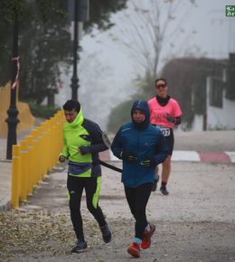 cross del arbol (16)