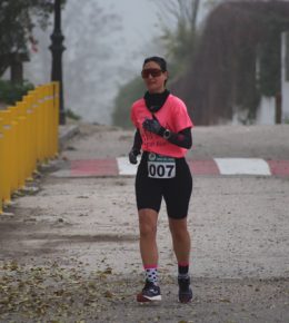 cross del arbol (17)