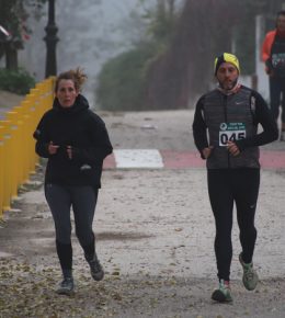 cross del arbol (19)