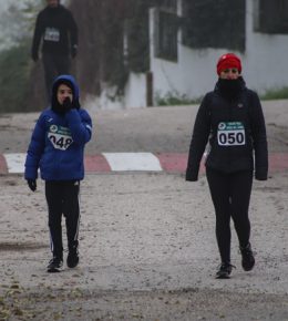 cross del arbol (21)