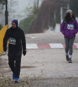 cross del arbol (22)