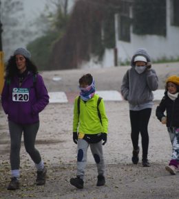 cross del arbol (23)