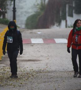 cross del arbol (25)