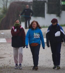 cross del arbol (28)