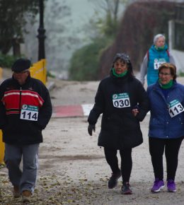 cross del arbol (30)