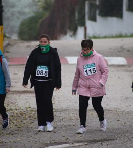 cross del arbol (31)