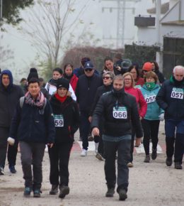 cross del arbol (32)