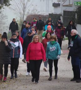 cross del arbol (33)