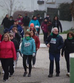 cross del arbol (34)