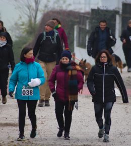 cross del arbol (37)