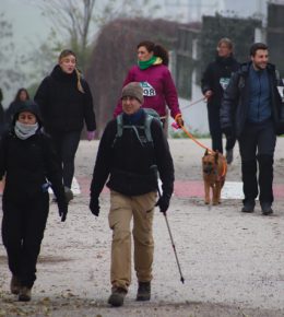 cross del arbol (38)