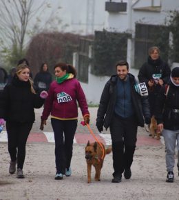 cross del arbol (39)