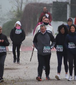 cross del arbol (41)