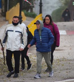 cross del arbol (42)