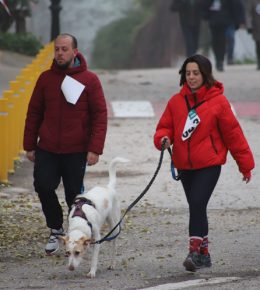 cross del arbol (43)