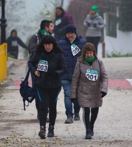 cross del arbol (44)