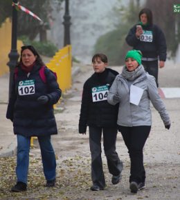 cross del arbol (46)