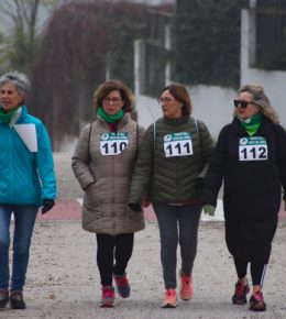 cross del arbol (48)