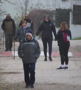 cross del arbol (50)