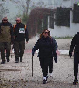 cross del arbol (51)