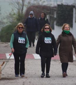 cross del arbol (53)