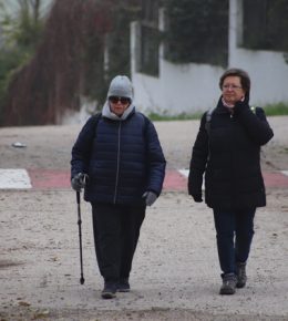 cross del arbol (54)