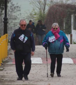 cross del arbol (55)