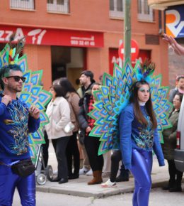carnaval tarancon 2024 (12)