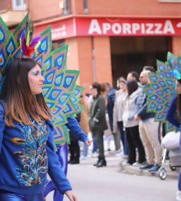 carnaval tarancon 2024 (13)