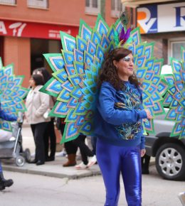 carnaval tarancon 2024 (14)