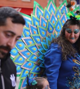 carnaval tarancon 2024 (15)