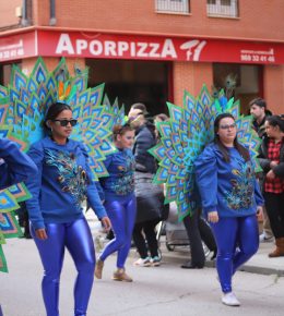carnaval tarancon 2024 (16)