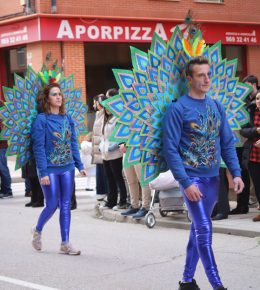 carnaval tarancon 2024 (17)