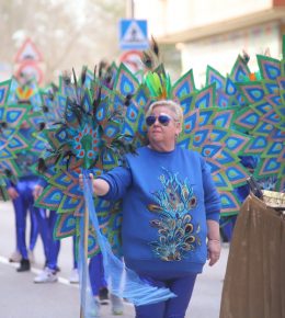 carnaval tarancon 2024 (9)
