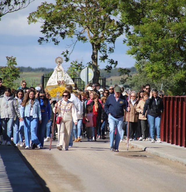 salida romeria mayo alarilla (10)