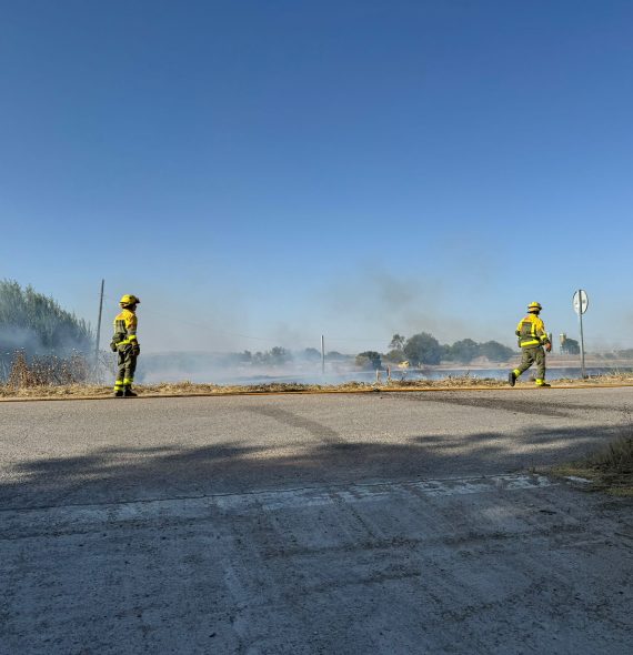 WhatsApp Image 2024-08-10 at 18.53.39