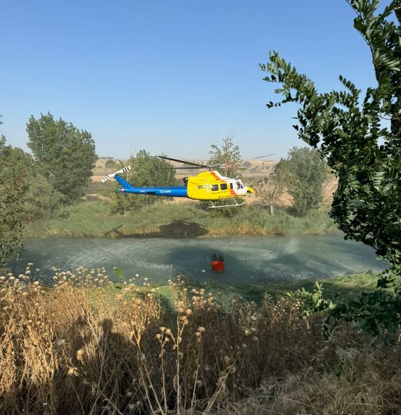 WhatsApp Image 2024-08-10 at 19.07.19