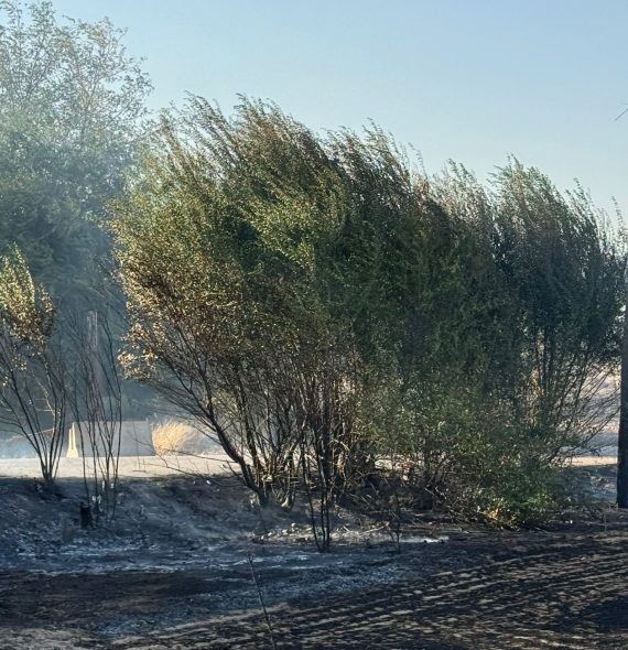 WhatsApp Image 2024-08-10 at 19.30.49