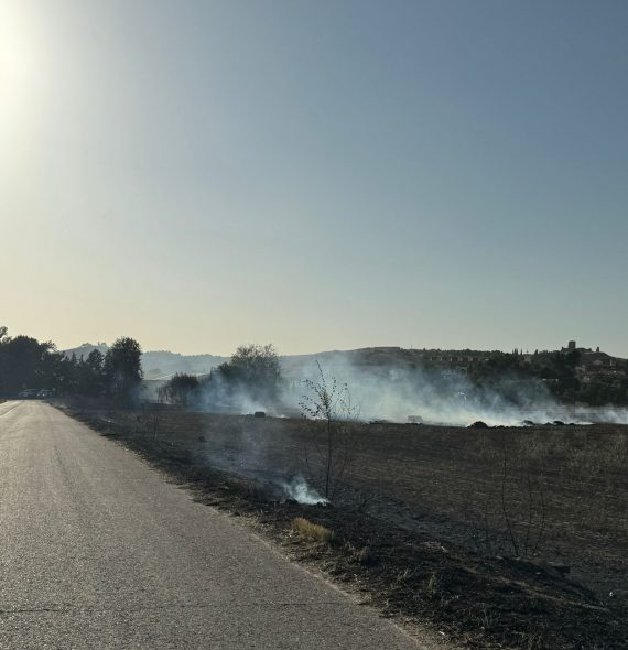 WhatsApp Image 2024-08-10 at 19.30.49(1)