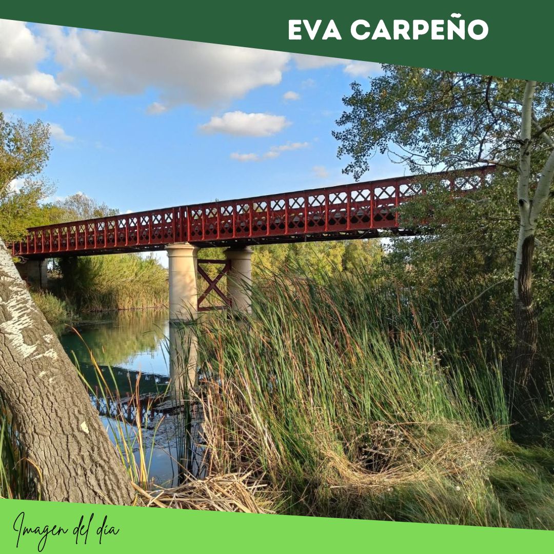 eva carpeño(1) puente viejo