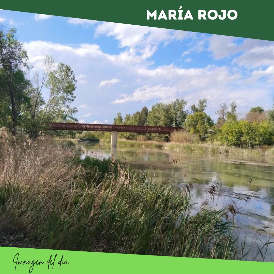 maria rojo