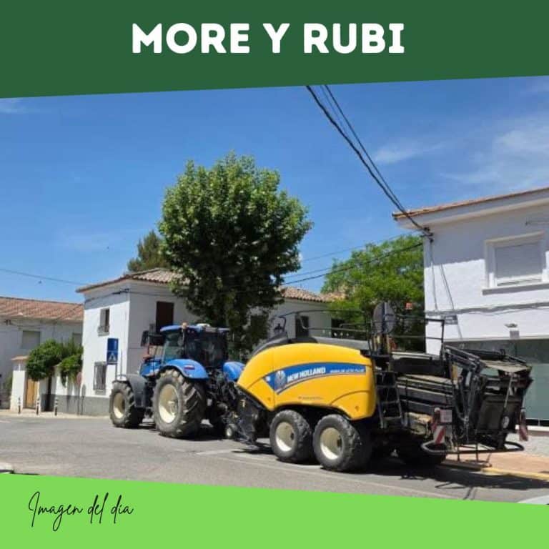 imagen del dia more y rubi
