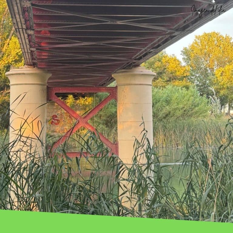 imagen del dia puente