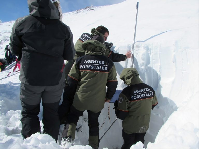 Forestales-nieve